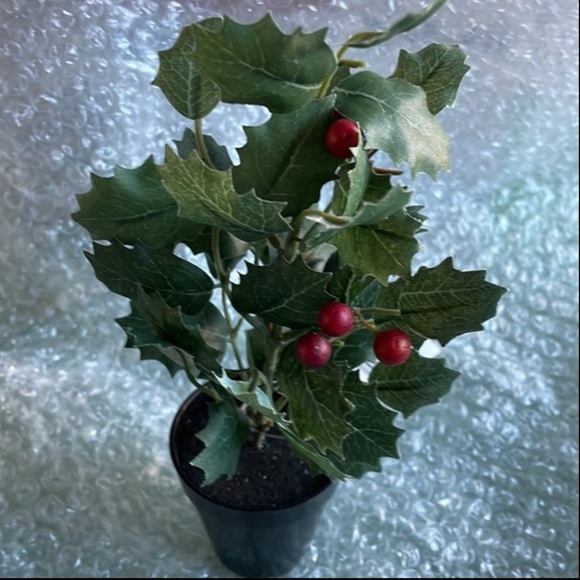 Ashland Mini Holly Berries Potted Plant Artificial - Picture 5 of 10